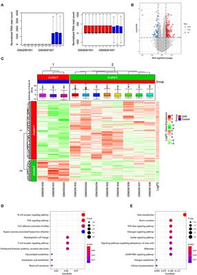 A New Oxaliplatin Resistance-Related Gene Signature With Strong Predicting Ability in Colon Cancer Identified by Comprehensive Profiling